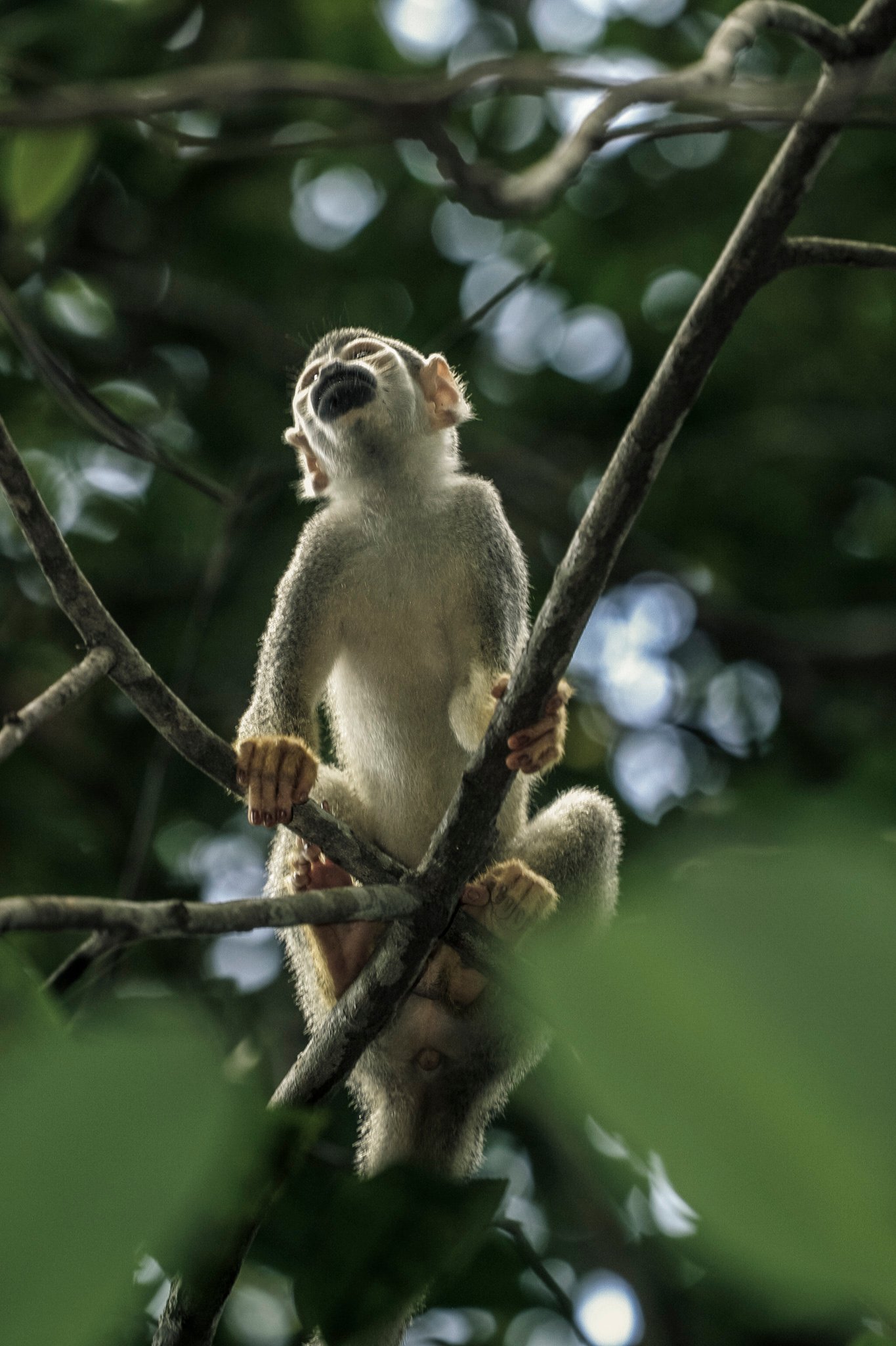 AMAZÔNIA, TIME OF WATER 10