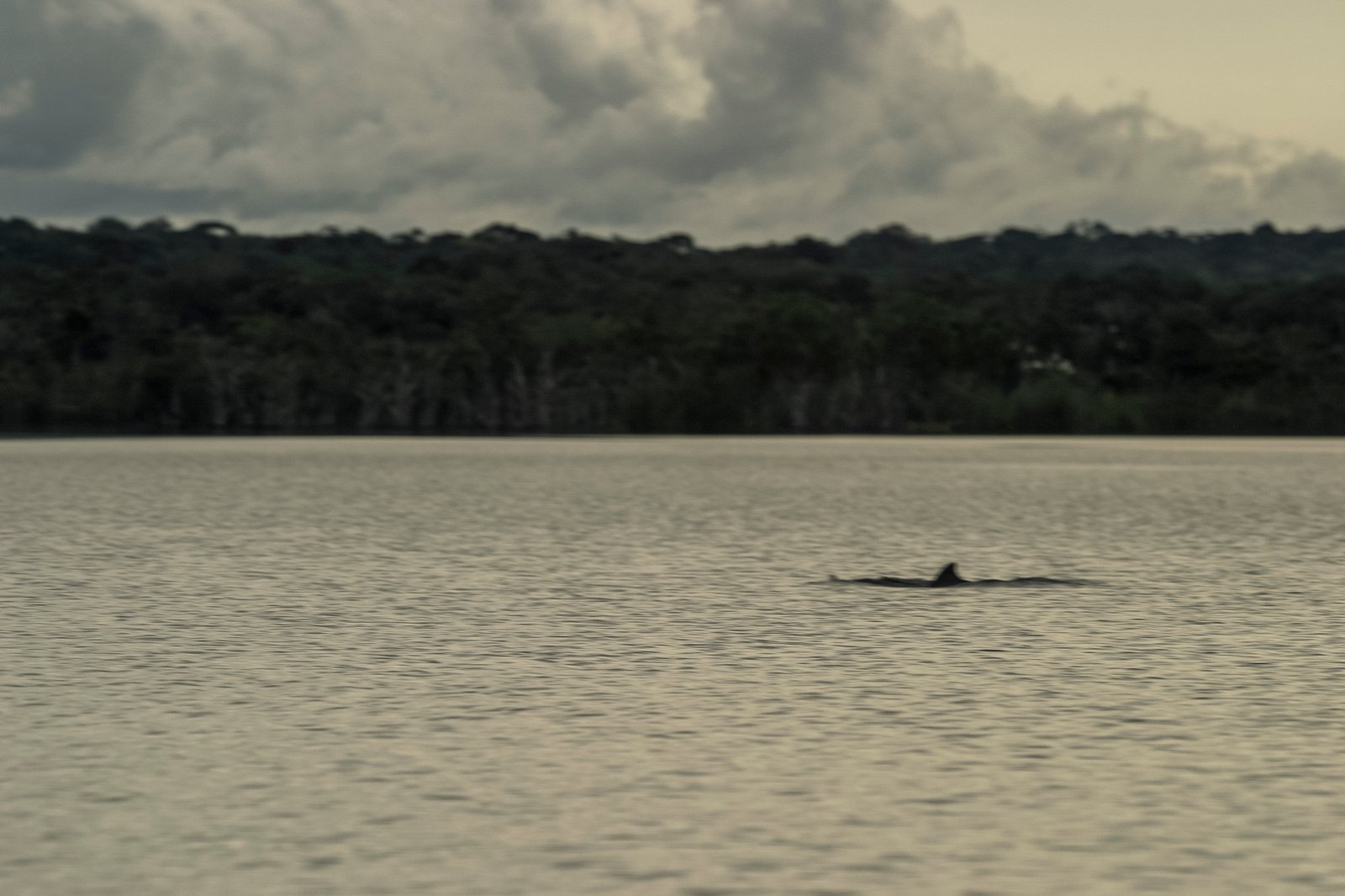 AMAZÔNIA, TIME OF WATER 22