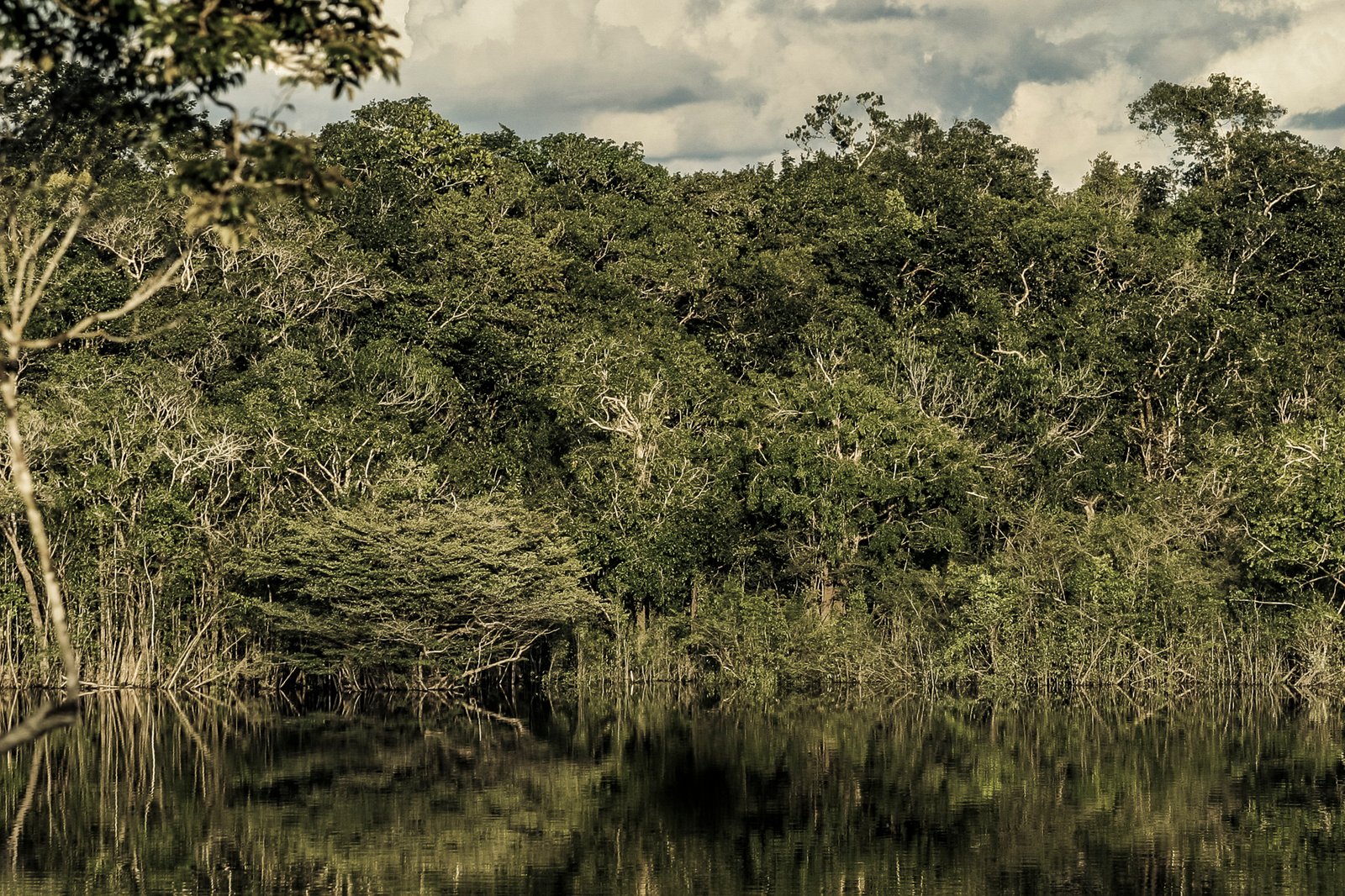 AMAZÔNIA, TIME OF WATER 23