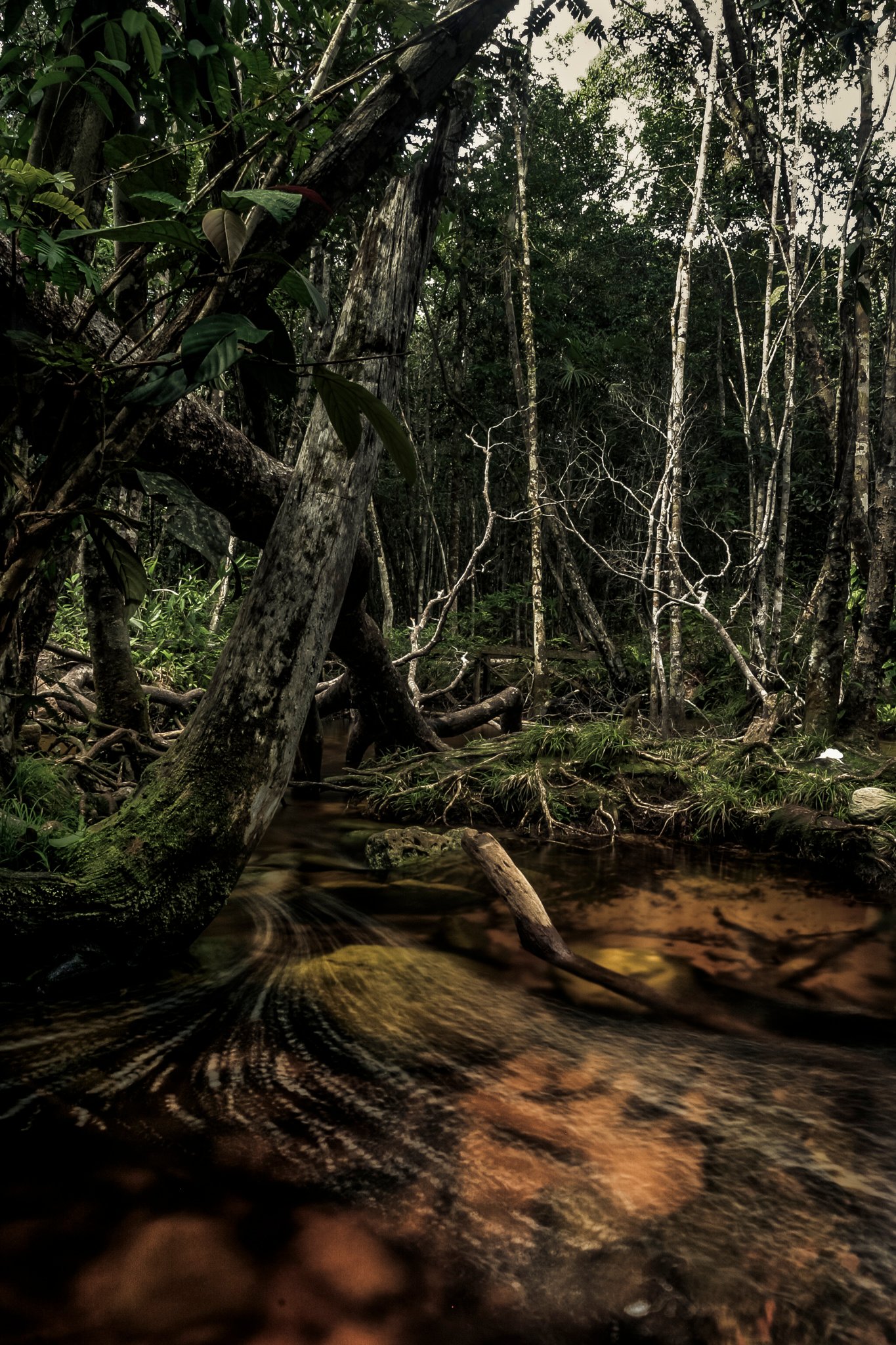 AMAZÔNIA, TIME OF WATER 24