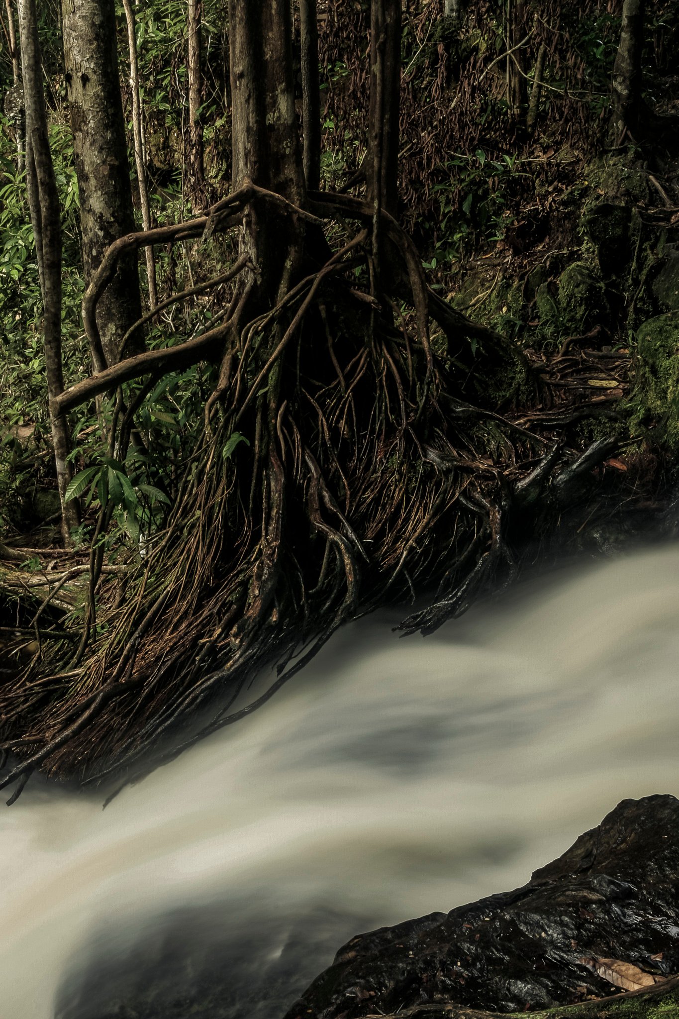 AMAZÔNIA, TIME OF WATER 25