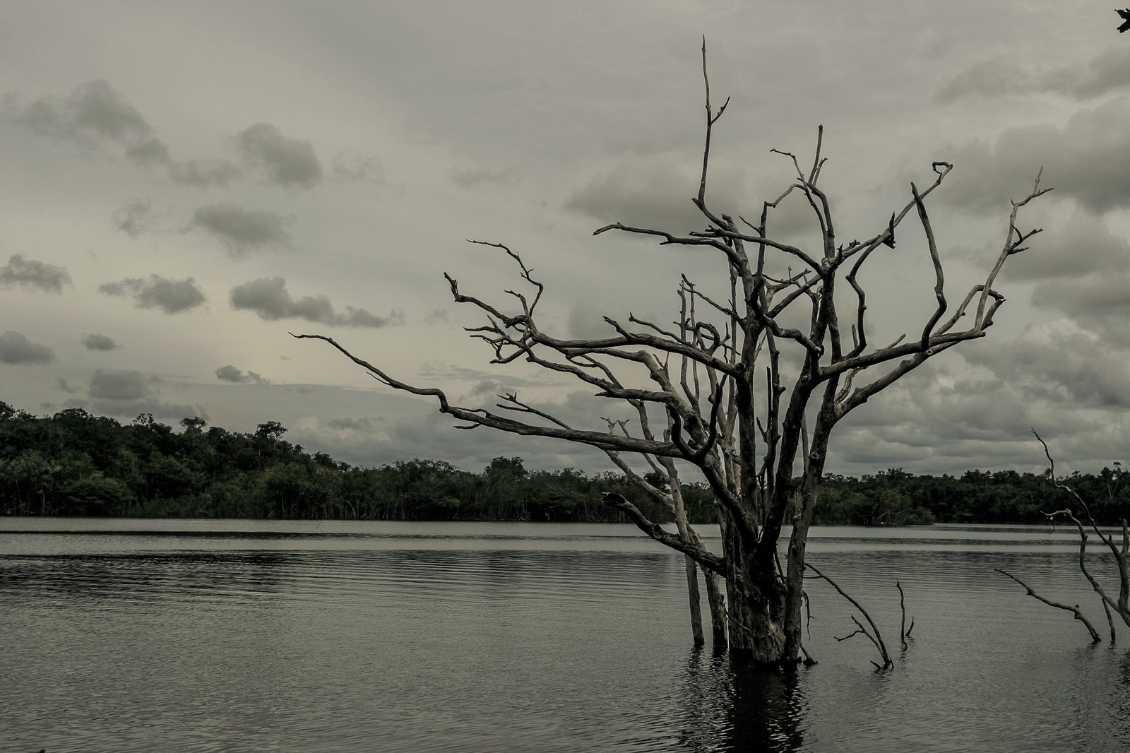 AMAZÔNIA, TIME OF WATER 28