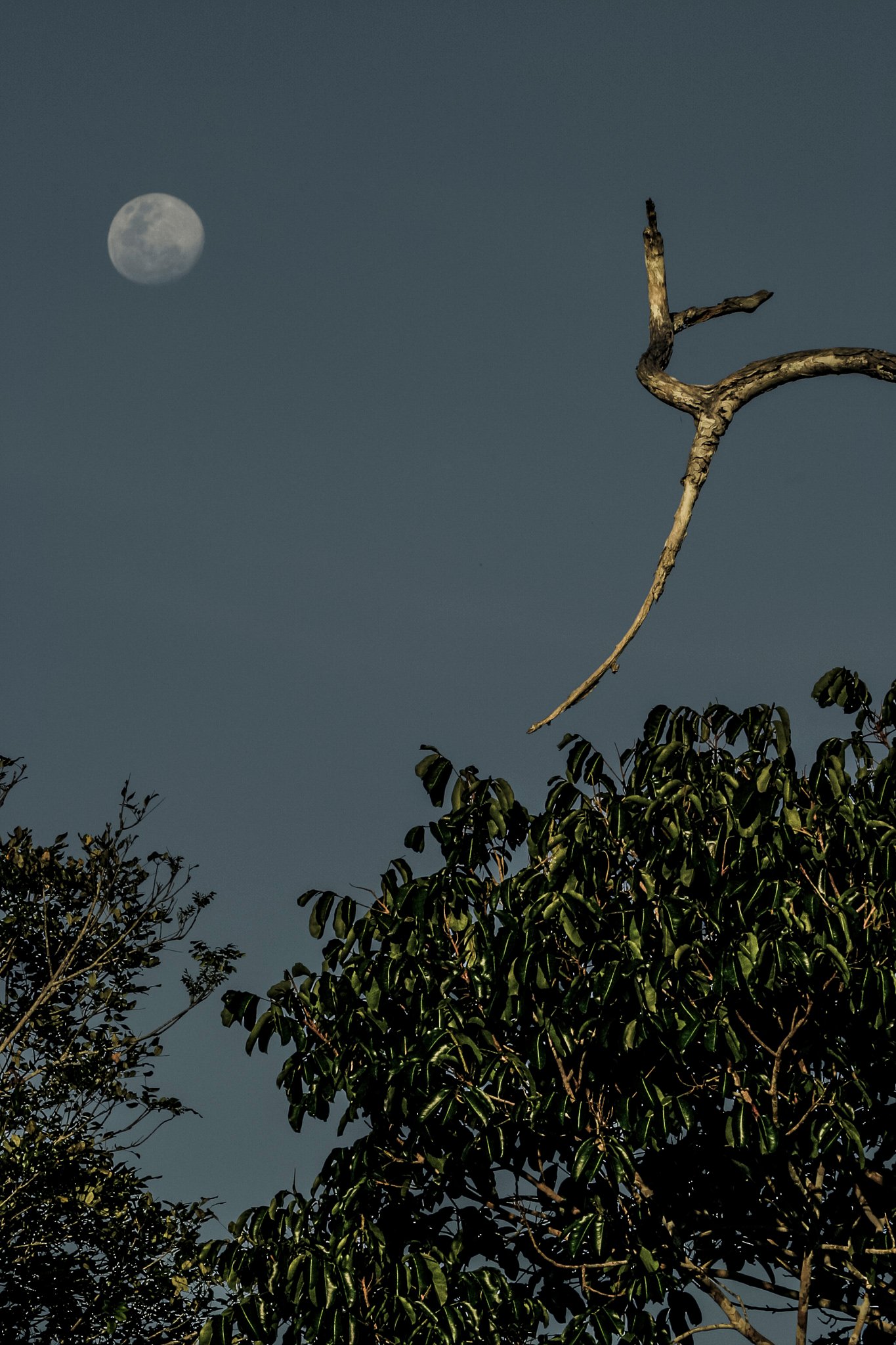 AMAZÔNIA, TIME OF WATER 30
