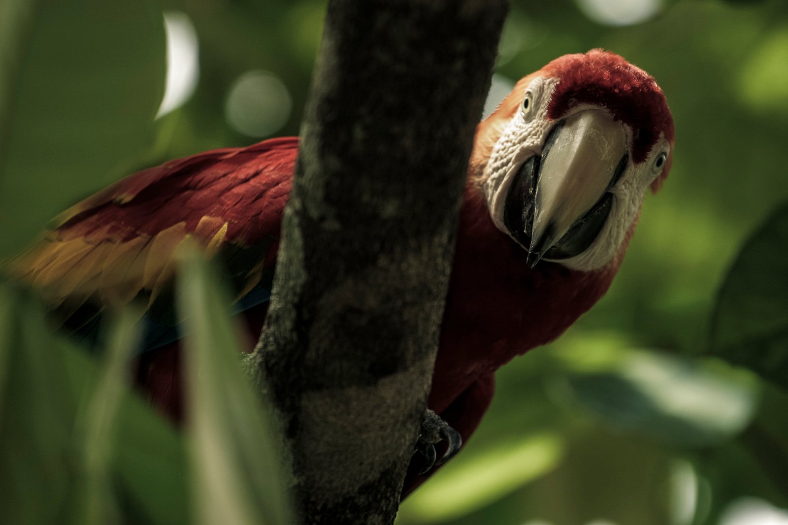 AMAZÔNIA, TIME OF WATER 9