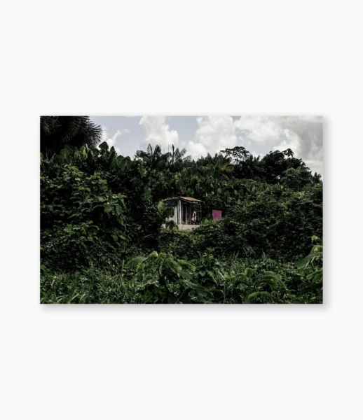 Casa pequena em meio à vegetação densa da várzea, Pará – fotografia de André Nunez