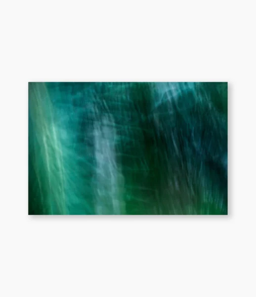 Floresta em movimento, troncos e folhas fundidos pela luz – fotografia de André Nunez