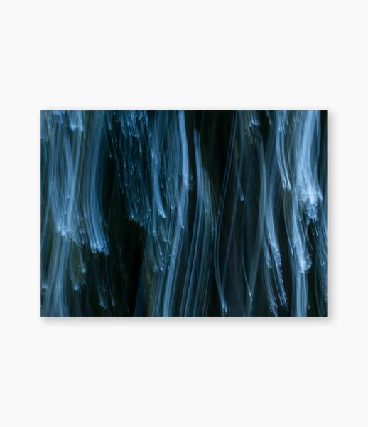 Floresta em movimento com troncos alongados pela luz – fotografia de André Nunez