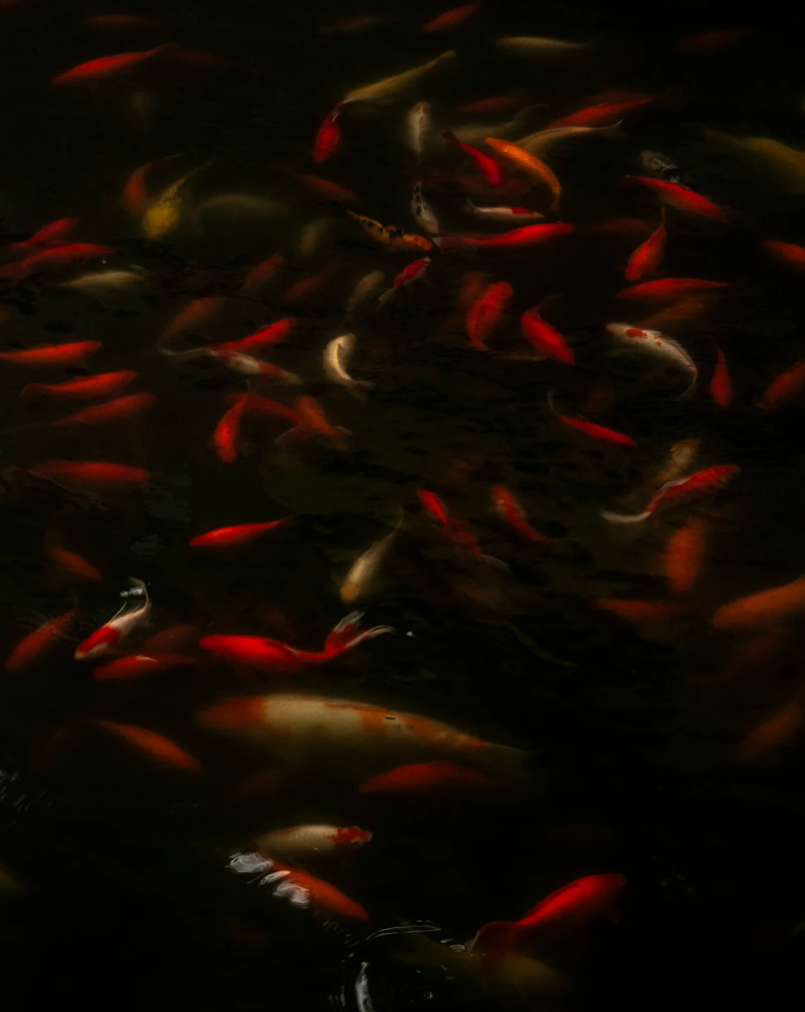 INFLECTION 25