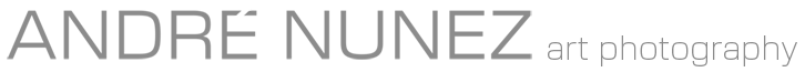 André Nunez – Fine Art